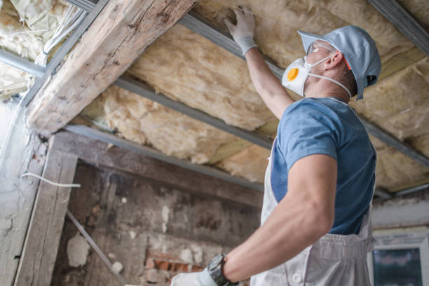 Best Insulation Materials and Products in Oak Harbor, WA