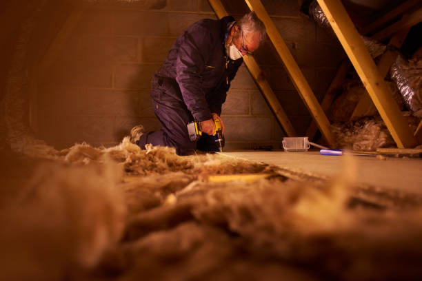 Best Types of Insulation in Oak Harbor, WA